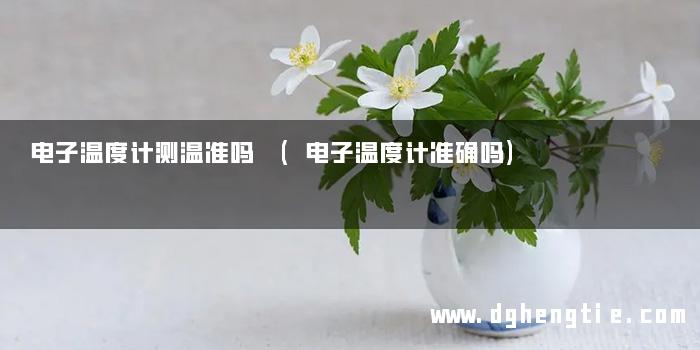 电子温度计测温准吗 (电子温度计准确吗)